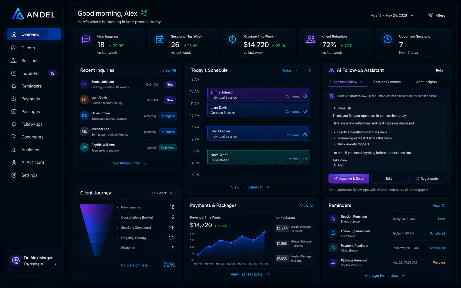 ANDEL psychology and consulting workflow dashboard
